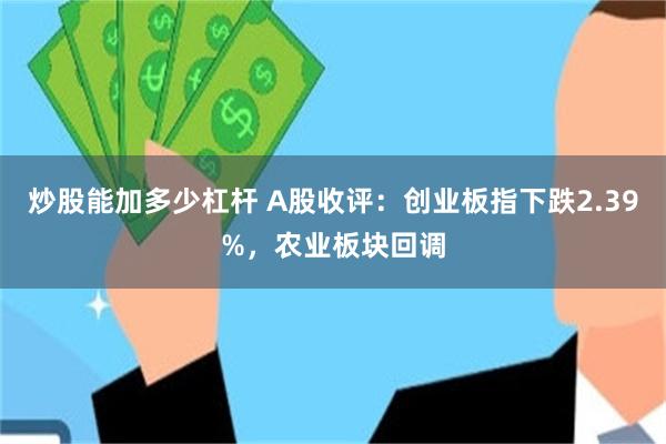 炒股能加多少杠杆 A股收评：创业板指下跌2.39%，农业板块回调