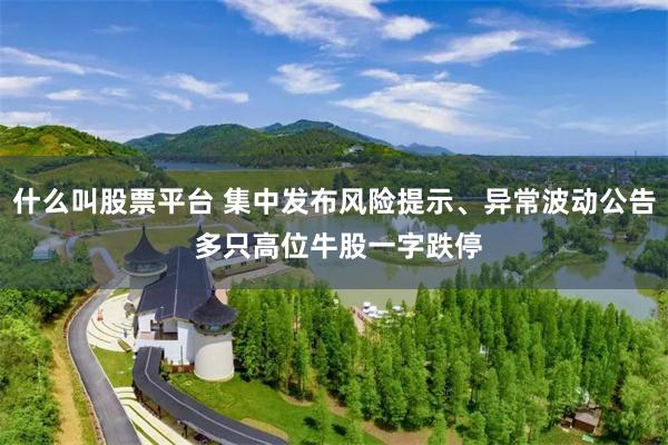 什么叫股票平台 集中发布风险提示、异常波动公告 多只高位牛股一字跌停
