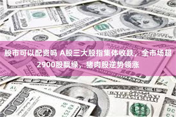 股市可以配资吗 A股三大股指集体收跌，全市场超2900股飘绿，猪肉股逆势领涨