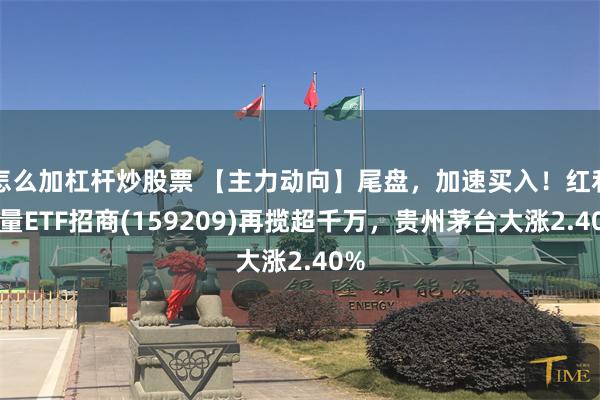 怎么加杠杆炒股票 【主力动向】尾盘，加速买入！红利质量ETF招商(159209)再揽超千万，贵州茅台大涨2.40%