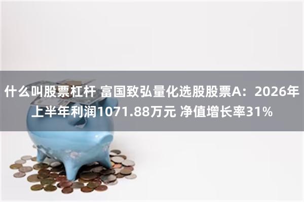 什么叫股票杠杆 富国致弘量化选股股票A：2026年上半年利润1071.88万元 净值增长率31%