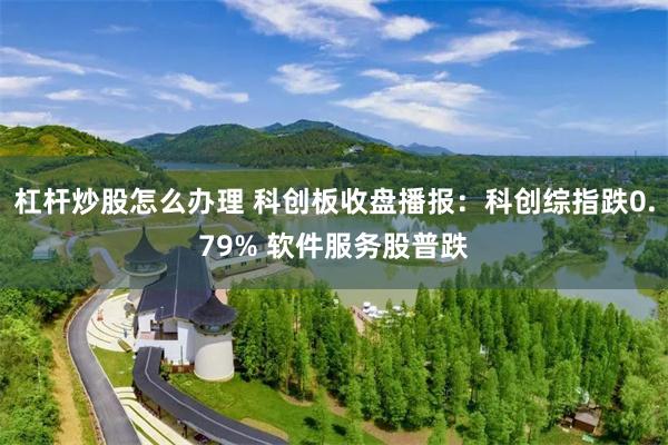 杠杆炒股怎么办理 科创板收盘播报：科创综指跌0.79% 软件服务股普跌