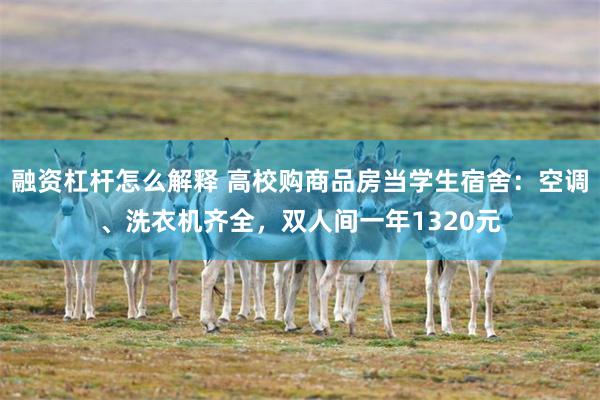 融资杠杆怎么解释 高校购商品房当学生宿舍：空调、洗衣机齐全，双人间一年1320元