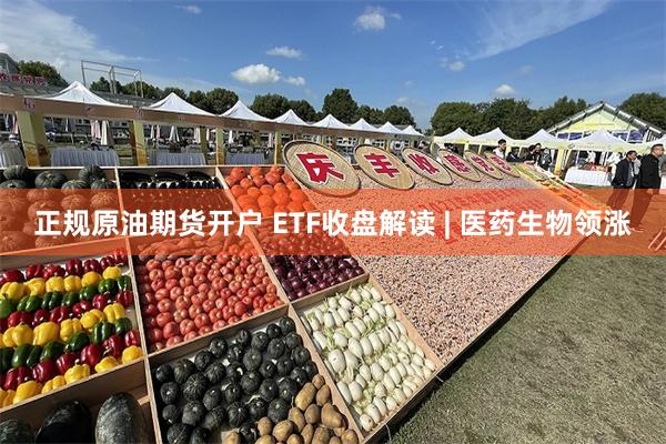 正规原油期货开户 ETF收盘解读 | 医药生物领涨