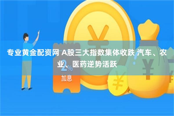 专业黄金配资网 A股三大指数集体收跌 汽车、农业、医药逆势活跃