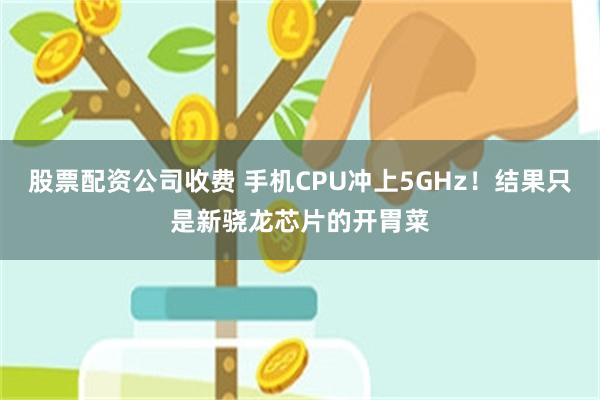 股票配资公司收费 手机CPU冲上5GHz！结果只是新骁龙芯片的开胃菜