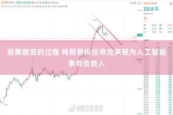 股票融资的过程 特朗普拟任命克莱顿为人工智能事务负责人