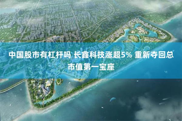 中国股市有杠杆吗 长鑫科技涨超5% 重新夺回总市值第一宝座