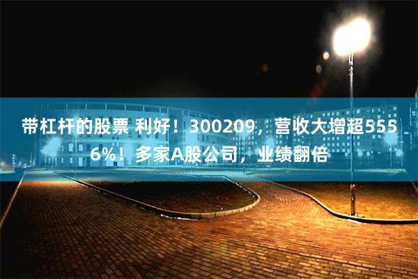 带杠杆的股票 利好！300209，营收大增超5556%！多家A股公司，业绩翻倍