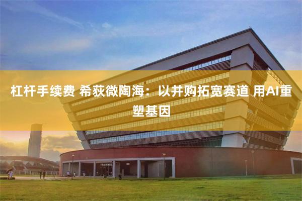 杠杆手续费 希荻微陶海:以并购拓宽赛道 用AI重塑基因