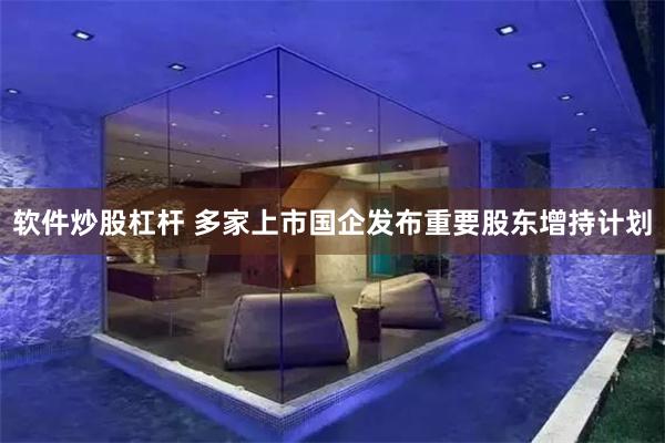 软件炒股杠杆 多家上市国企发布重要股东增持计划