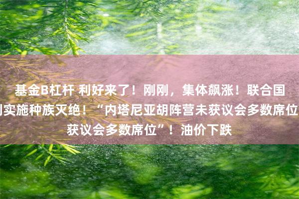 基金B杠杆 利好来了!刚刚,集体飙涨!联合国报告:以色列实施种族灭绝!“内塔尼亚胡阵营未获议会多数席位”!油价下跌